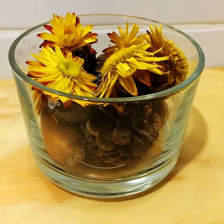 Invictus Place Apartmán Porto